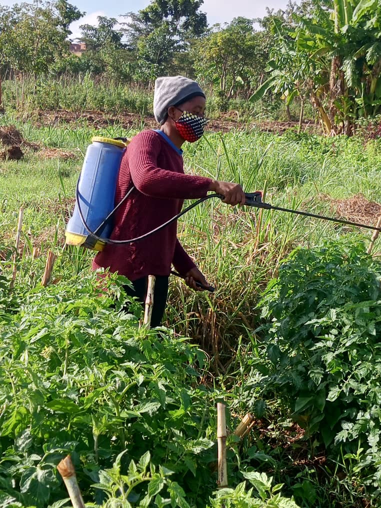 Agriculture program